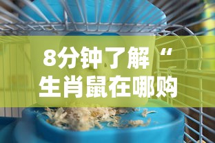 8分钟了解“生肖鼠在哪购买房卡-如何获取房卡教程