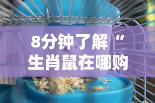 8分钟了解“生肖鼠在哪购买房卡-详细房卡教程