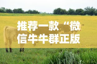 推荐一款“微信牛牛群正版房卡”获取房卡教程