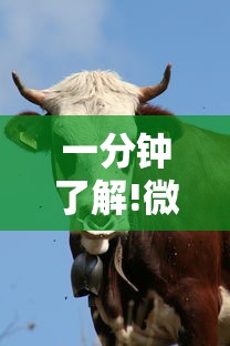 一分钟了解!微信牛牛群购买房卡”链接教程