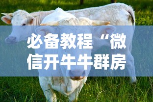 推荐一款“微信开炸金花群怎么充值房卡”详细房卡怎么购买教程
