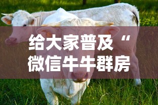 给大家普及“微信牛牛群房卡批发”详细房卡怎么购买教程