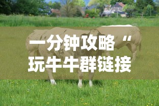 今日分享“微信金花充值房卡”链接教程