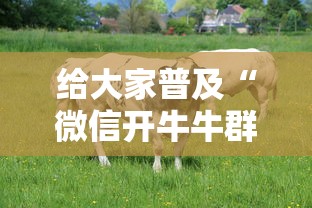 今日分享“微信金花哪里有房卡”获取房卡教程