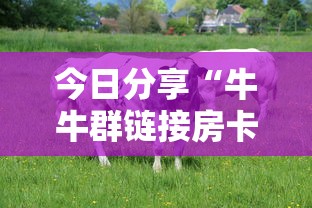 一分钟攻略“微信牛牛链接哪里有房卡”链接教程