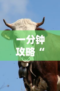 一分钟攻略“微信牛牛群房卡充值方法”详细房卡怎么购买教程