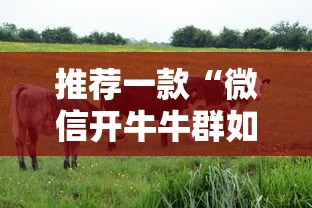 今日话题""樱花联盟房卡哪里可以购买”链接教程
