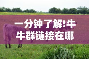一分钟了解!朱雀区大厅哪能充值房卡”获取房卡教程