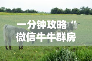 一分钟攻略“微信牛牛群房卡怎么获取”链接教程