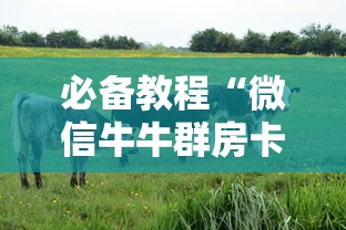 必备教程“微信牛牛群房卡怎么弄”链接教程