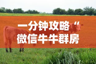 一分钟攻略“微信牛牛群房卡如何充值”链接教程