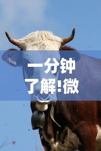 一分钟了解!微信牛牛群房卡哪里弄”链接教程 一分钟了解!微信牛牛群房卡哪里弄”链接教程
