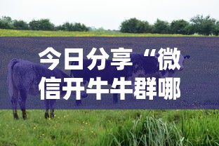 今日话题""微信开牛牛群购买房卡”获取房卡教程