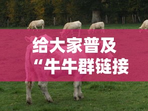 给大家普及“牛牛群链接房卡在哪买”链接教程