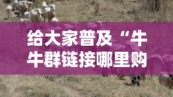 给大家普及“牛牛群链接哪里购买房卡”链接教程