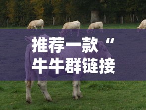 推荐一款“牛牛群链接哪里充值房卡”链接教程