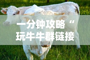一分钟攻略“玩牛牛群链接房卡怎么弄”链接教程 一分钟攻略“玩牛牛群链接房卡怎么弄”链接教程