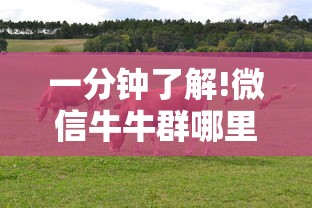 一分钟了解!微信牛牛群哪里购买房卡”链接教程