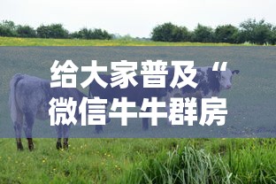 给大家普及“微信牛牛群房卡如何充值”获取房卡教程