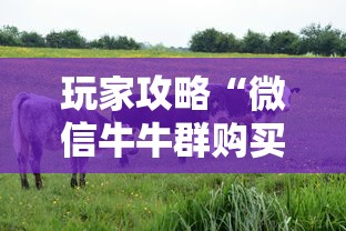 玩家攻略“微信牛牛群购买房卡”链接教程