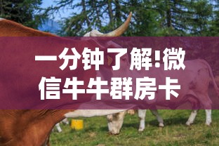 一分钟了解!微信牛牛群房卡哪里弄”链接教程