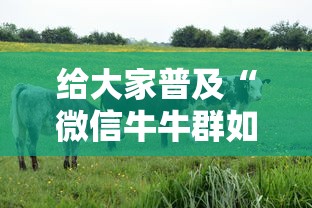 给大家普及“微信牛牛群如何购买房卡”详细房卡怎么购买教程