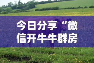 今日分享“微信开牛牛群房卡如何充值”链接教程