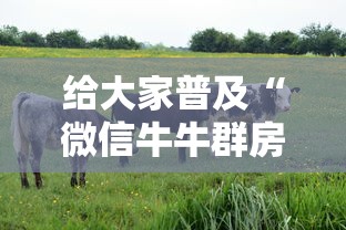 给大家普及“微信牛牛群房卡怎么搞”详细房卡怎么购买教程