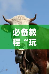 必备教程“玩牛牛群链接房卡批发”链接教程