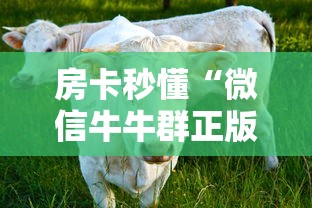 房卡秒懂“微信牛牛群正版房卡”链接教程
