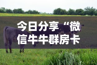 今日分享“微信牛牛群房卡大厅”获取房卡教程