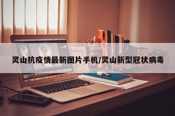 灵山抗疫情最新图片手机/灵山新型冠状病毒